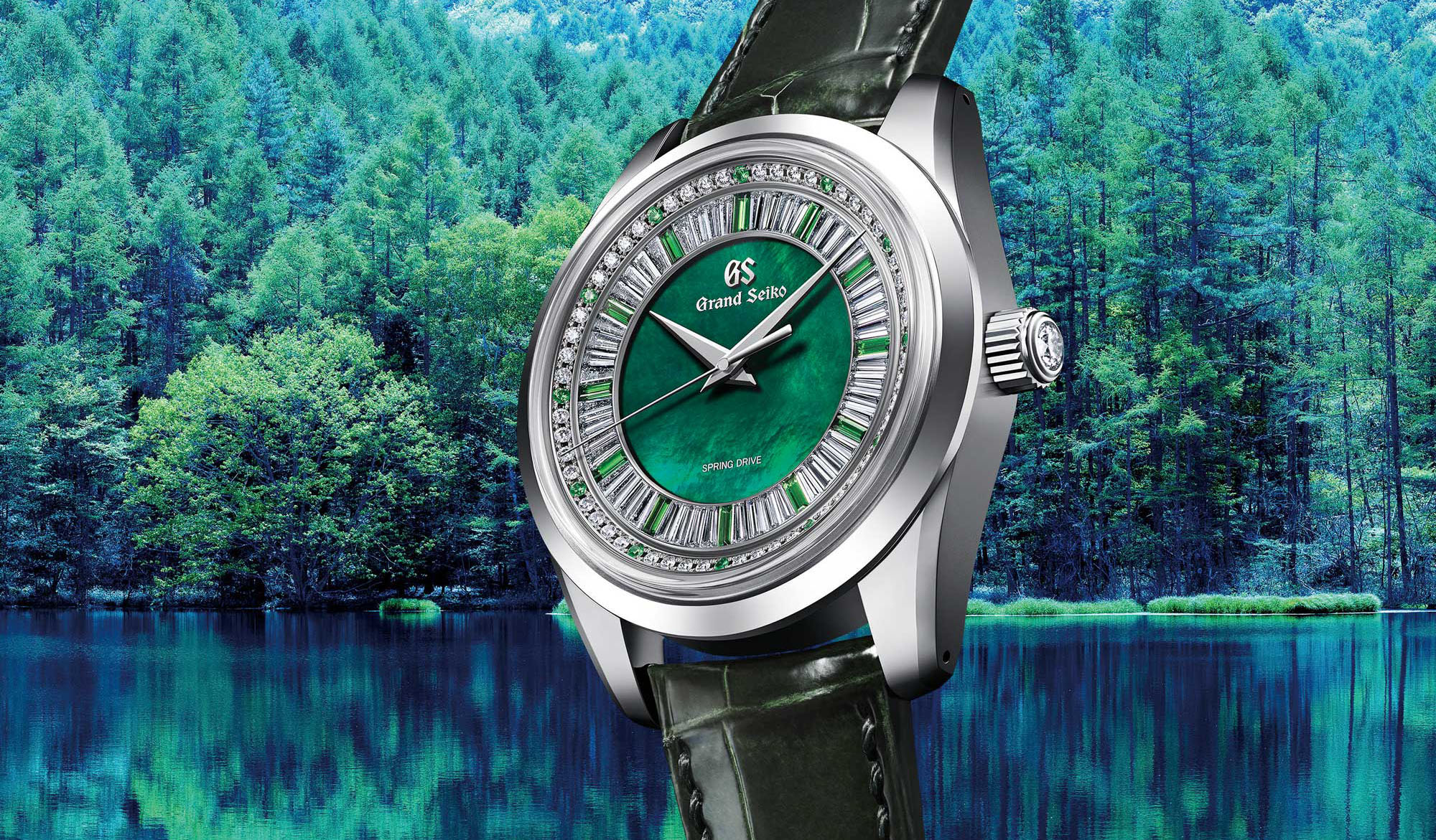 SBGD207 wristwatch against forest background